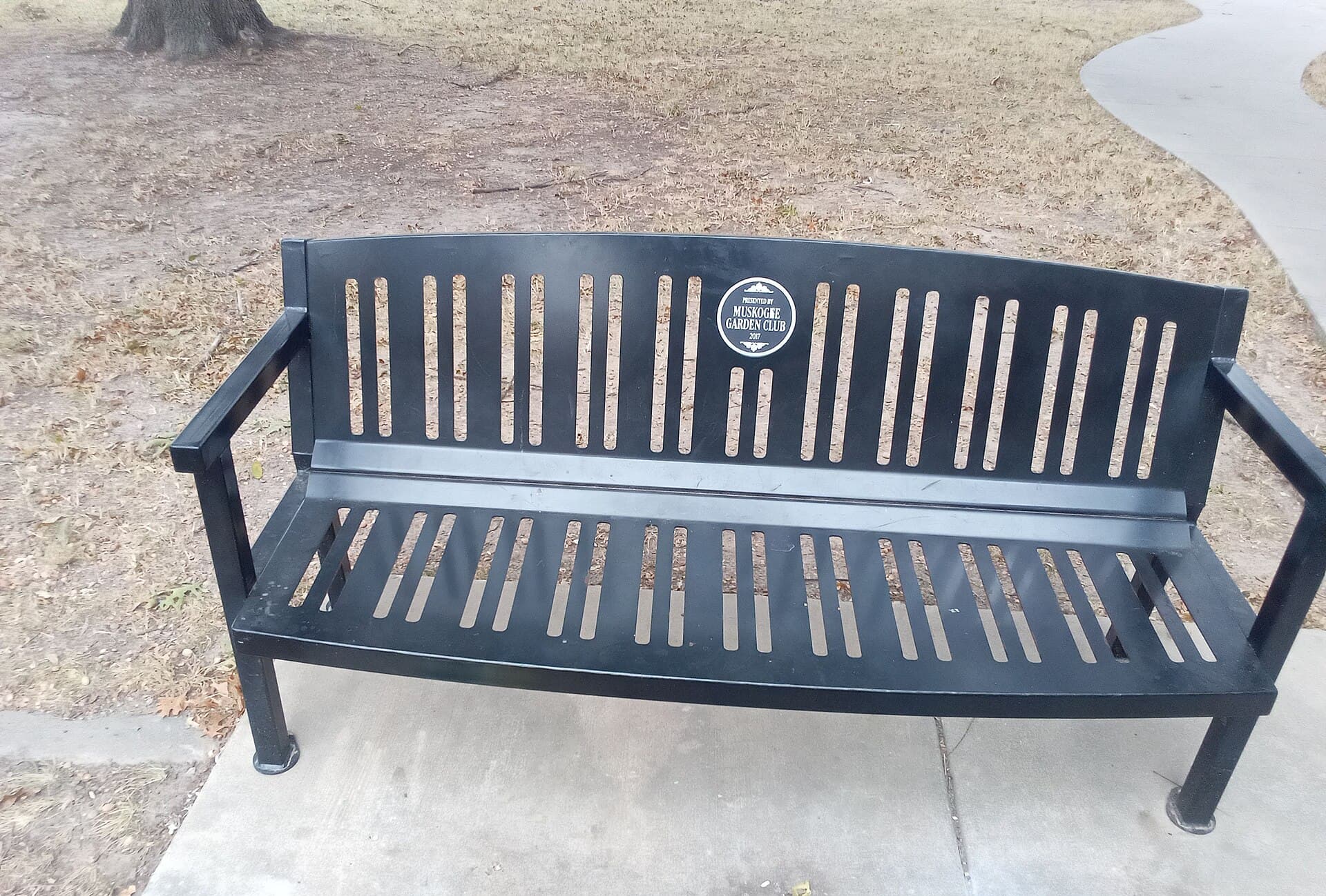 An empty timber park bench under trees in quiet parkland.